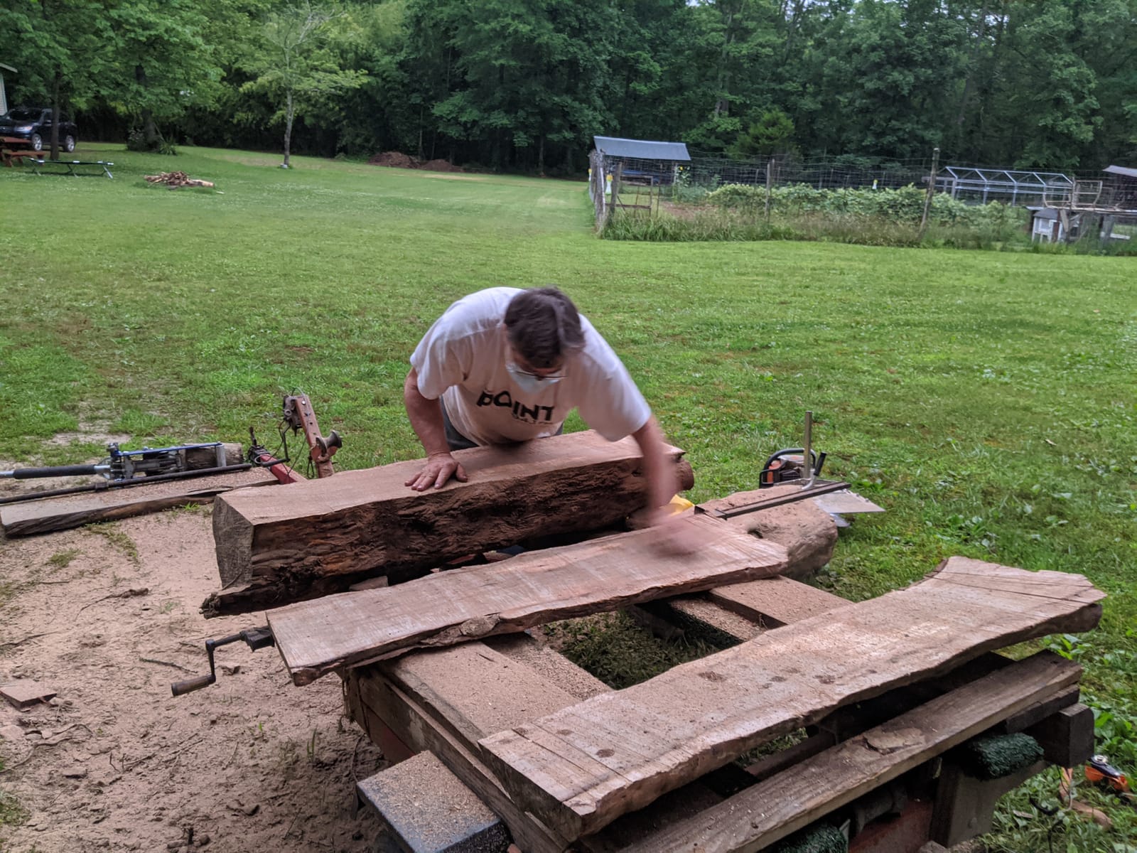 Inspecting raw hardwood logs for quality